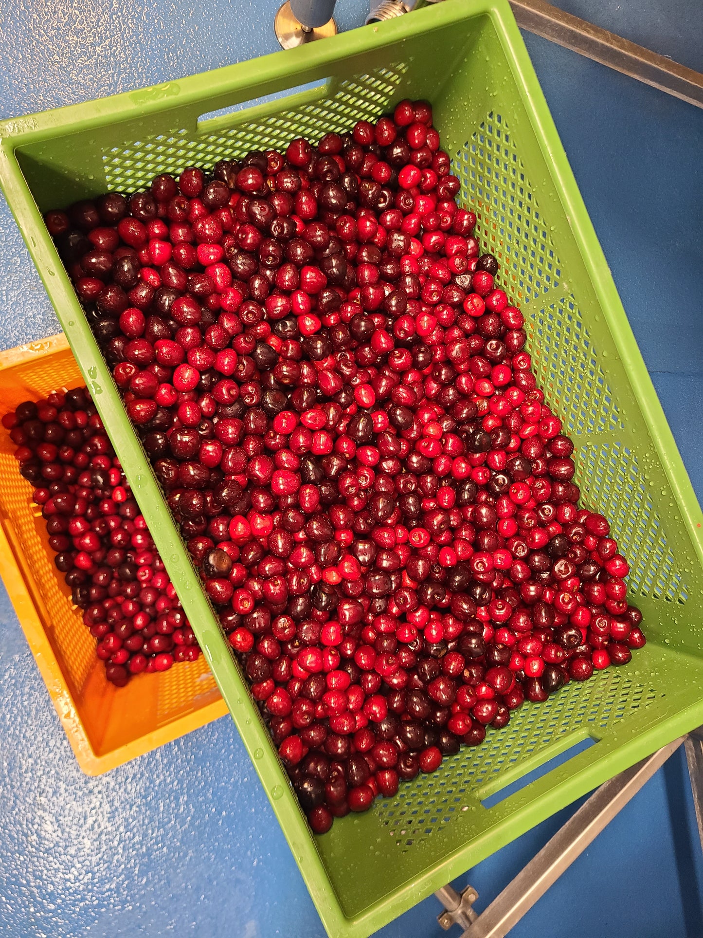 CHERRY SOUR